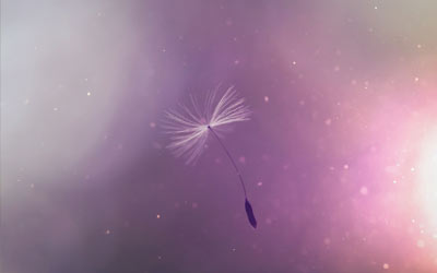 Reiki-Ausbildung Ines Lennartz Reiki-Ausbildung Ines Lennartz