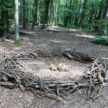 Zauber der Natur - Ines Lennartz